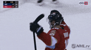happy ice hockey GIF by NHL