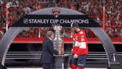 Stanley Cup Playoffs Win GIF by NHL