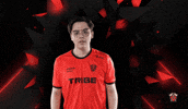 Lets Go Applause GIF by Tribe Gaming