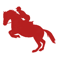 Horse Jumping Sticker by CHIO Aachen