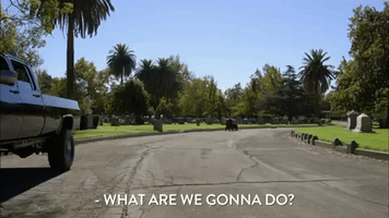 season 5 episode 7 GIF by Workaholics