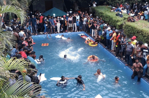 CrispinF giphygifmaker GIF