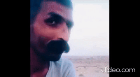 kunakira69 meme giphycreatortest meow GIF