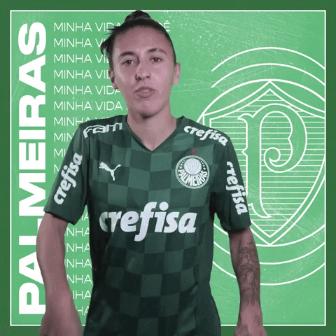 Happy Futebol Feminino GIF by SE Palmeiras