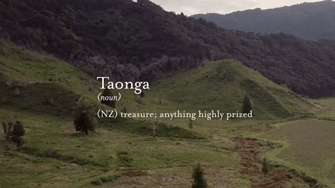 young living taonga GIF by Young Living Essential Oils