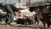 Eat Short Film GIF by Krisstian