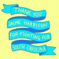 Election 2020 Fighting GIF by Creative Courage
