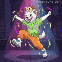 Happy Lets Go GIF by Doge Pound