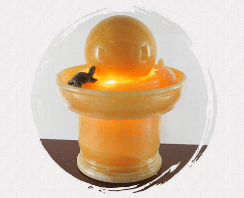 GIF by Thiết kế tiểu cảnh non bộ