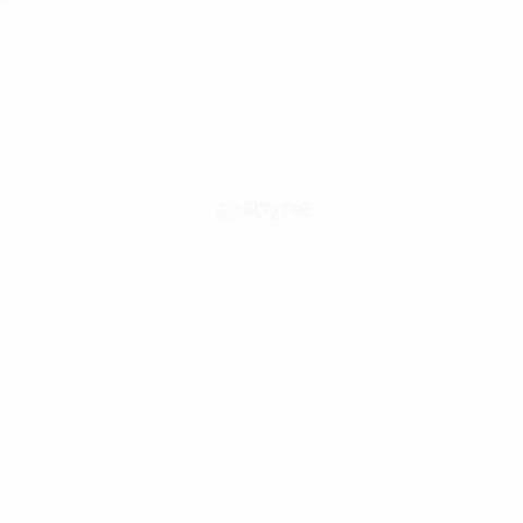 spyneai giphyupload GIF