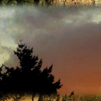 Horror Night GIF by Four Rest Films