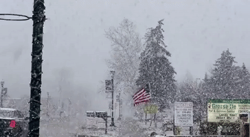 Thick Snow Sweeps Across Michigan-Canada Border Amid Winter Weather Warnings