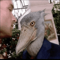 Suspicious I Know GIF