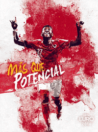 euro 2016 austria GIF by ESPN FC