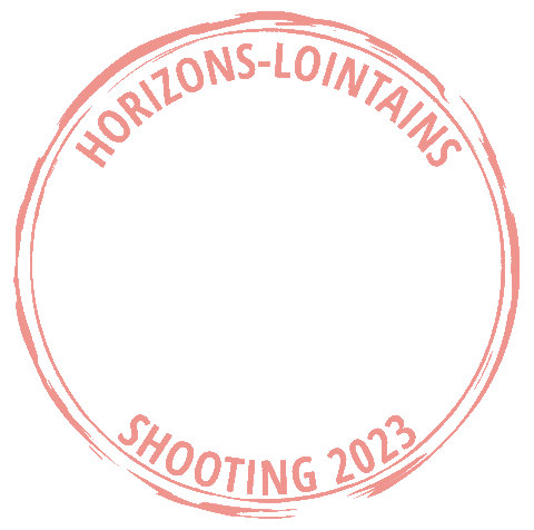 Travel Fly Sticker by Horizons Lointains