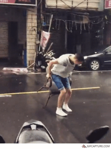 reading newspaper GIF