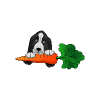 Trevozah honey bees harvest devon Sticker