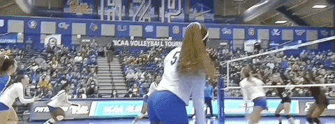 Volleyball Pittsburgh GIF by NCAA Championships