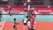 Republica Dominicana Wow GIF by Volleyball World
