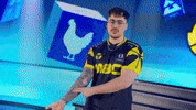 Esports Cs2 GIF by BLAST