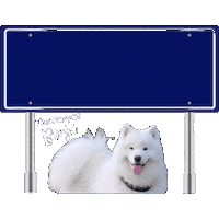 Benji Brabant Sticker