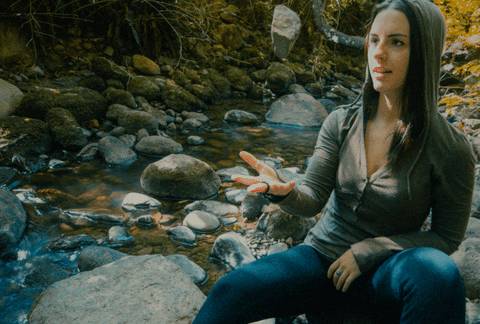 GIF by Omid Pakbin