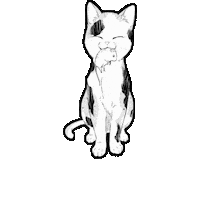Cat Kitty Sticker