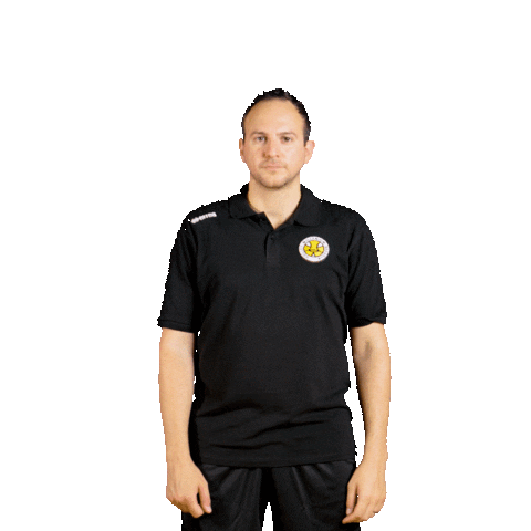 Sport Volleyball Sticker by Millenium Brescia