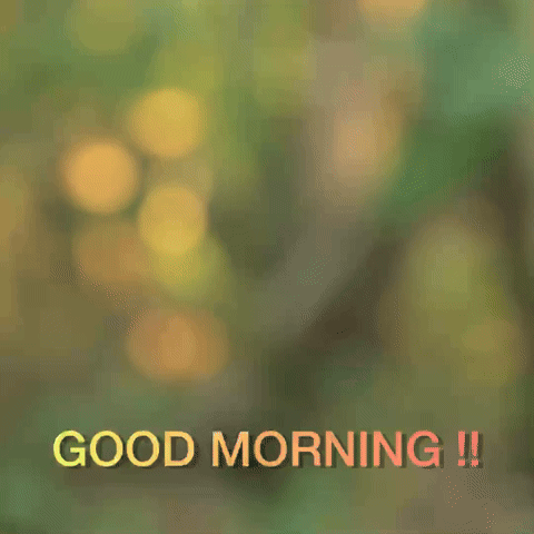 DOORO BEAR. GOOD MORNING!!ā