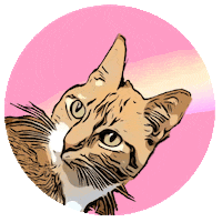 Geek Girl Cat Sticker by Una Geek