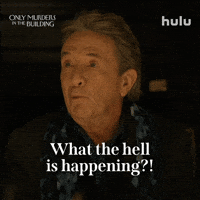 Season 5 What The Hell Is Happening GIF by HULU