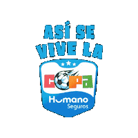 Soccer Futbol Sticker by Humanos Seguros