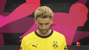 Posing Borussia Dortmund GIF by Bundesliga