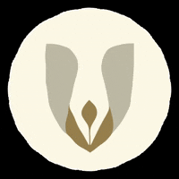 cartoriodebalsas maranhao balsas cartorio cartorios GIF