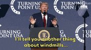 Donald Trump Windmill GIF