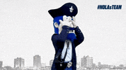 New Orleans Mascot GIF by New Orleans Privateers