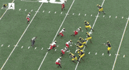 Go Blue Michigan Football GIF by Michigan Athletics