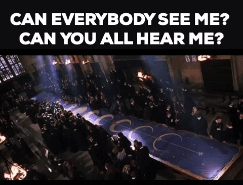 daniellevictoria72fc giphygifmaker harry potter chamber of secrets gilderoy lockhart GIF