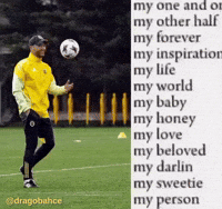 Futbol Galatasaray GIF