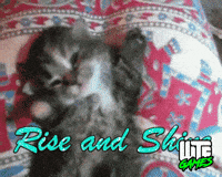 Morning Win GIF by WTF Leagues