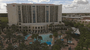 Hilton GIF by Switzerfilm