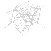 Halloween Spider Sticker by Owlient