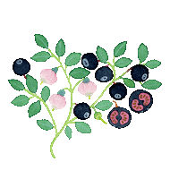 Plant Finland Sticker by Payot