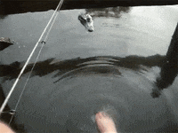 swamp people kick GIF