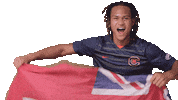 Flag Bermuda Sticker by Carson-Newman Athletics