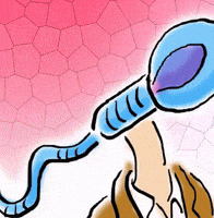 Beauty Sperm GIF