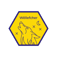 guidenascouten SCOUTS scouten guidenascouten guiden Sticker