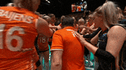 Team Hello GIF by Volleyball World