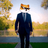 Money Crypto GIF by Baby Doge Coin