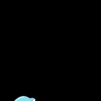 getthecoast water dolphin destin getthecoast GIF